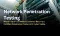 Network Penetration Testing