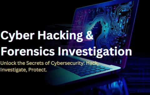 Cyber Hacking