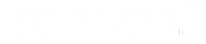 Cyber Yodha