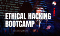 Bug Bounty (700 x 430 px) (1280 x 720 px)